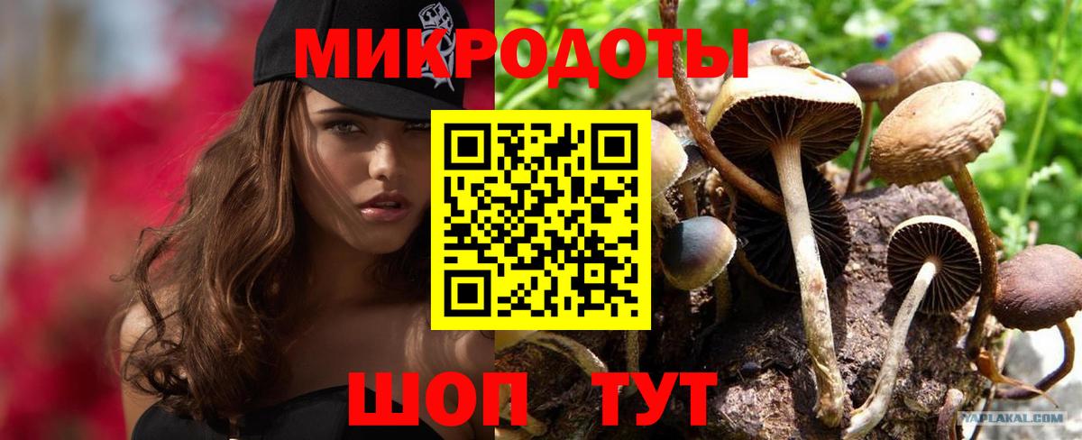Псилоцибиновые грибы мицелий  Вход с VPN  Кохма  Псилоцибиновые грибы GOLDEN TEACHER 