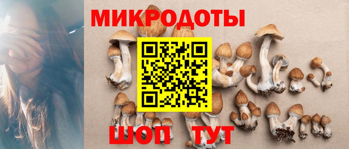 Псилоцибиновые грибы Cubensis Кохма